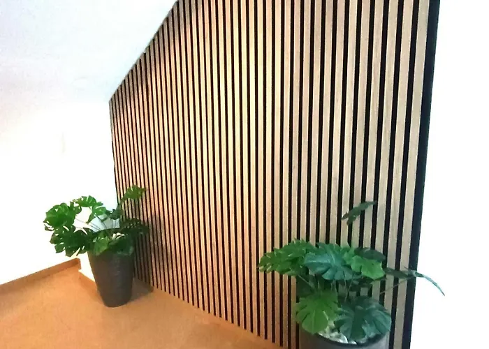 Apartamentos Larios