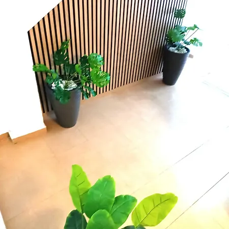 Apartamentos Larios Malaga Exterior photo