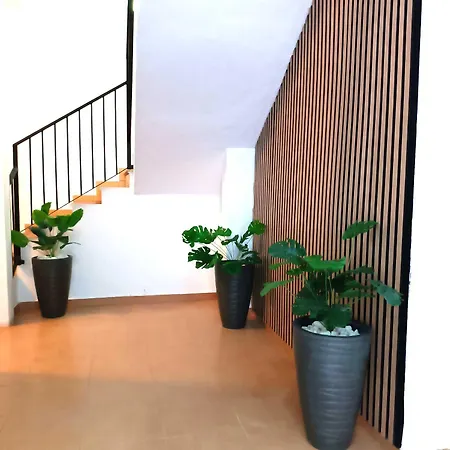 Apartamentos Larios Malaga Exterior photo